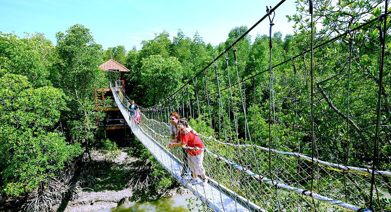 pulau kukup - pulau di Johor